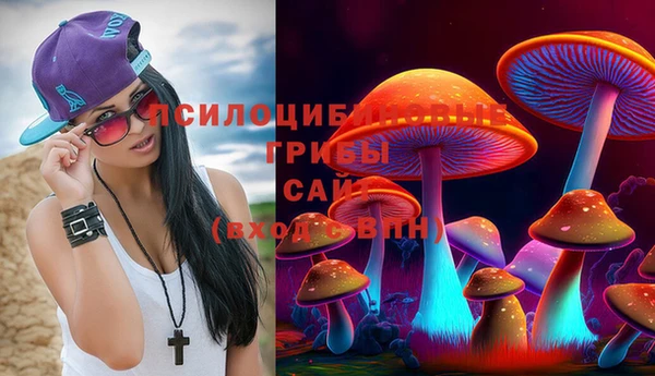 амф Белокуриха