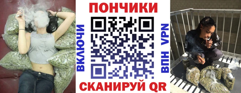 как найти закладки  Выборг  Марихуана гибрид 